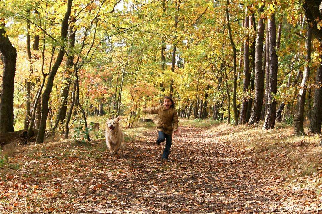 為什么秋季裝修異味這么重？甲醛超標怎么辦