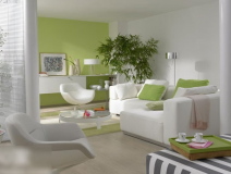 室內(nèi)除甲醛怎樣更好的去除污染源?