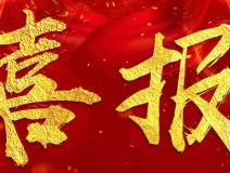 搖一搖除甲醛魔球被評定為省級工業新產品(新技術)