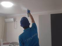 除甲醛的好方法有哪些?